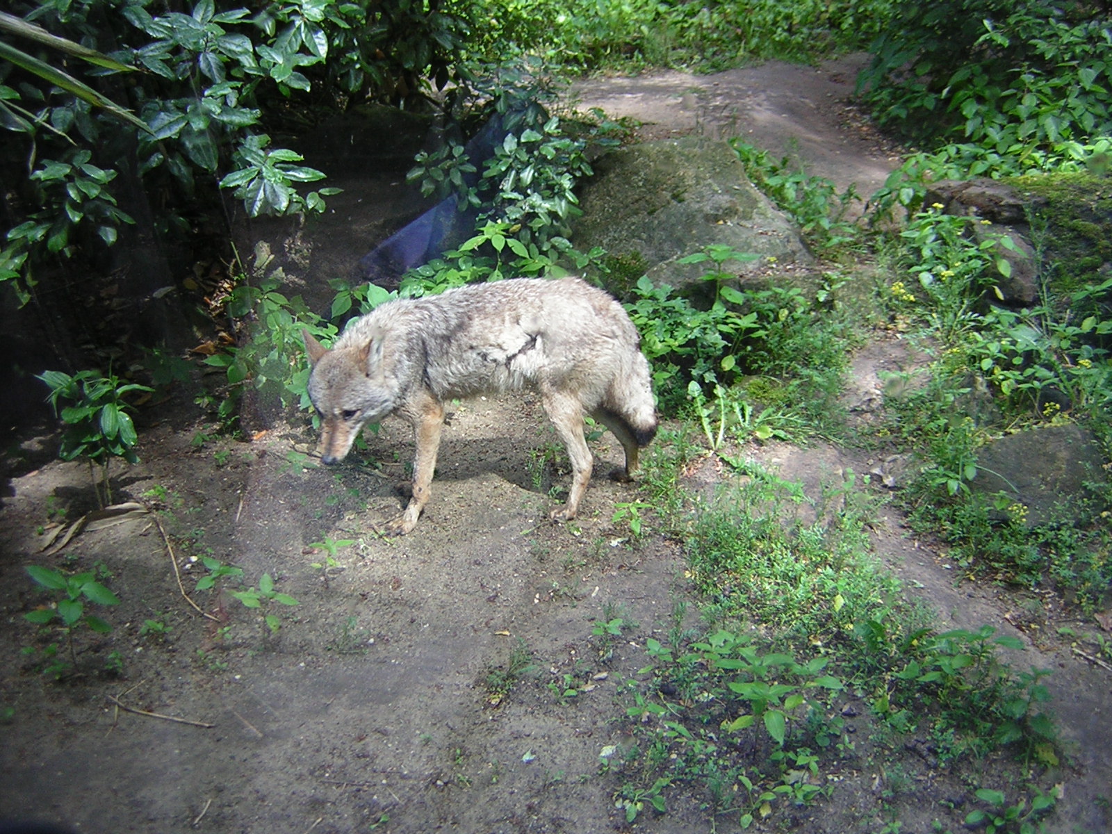 dscn4657