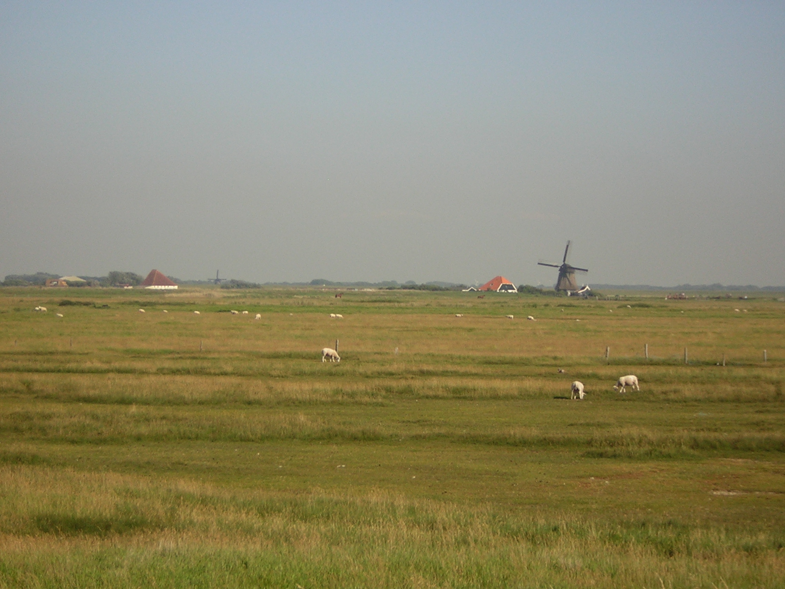 dscn4802