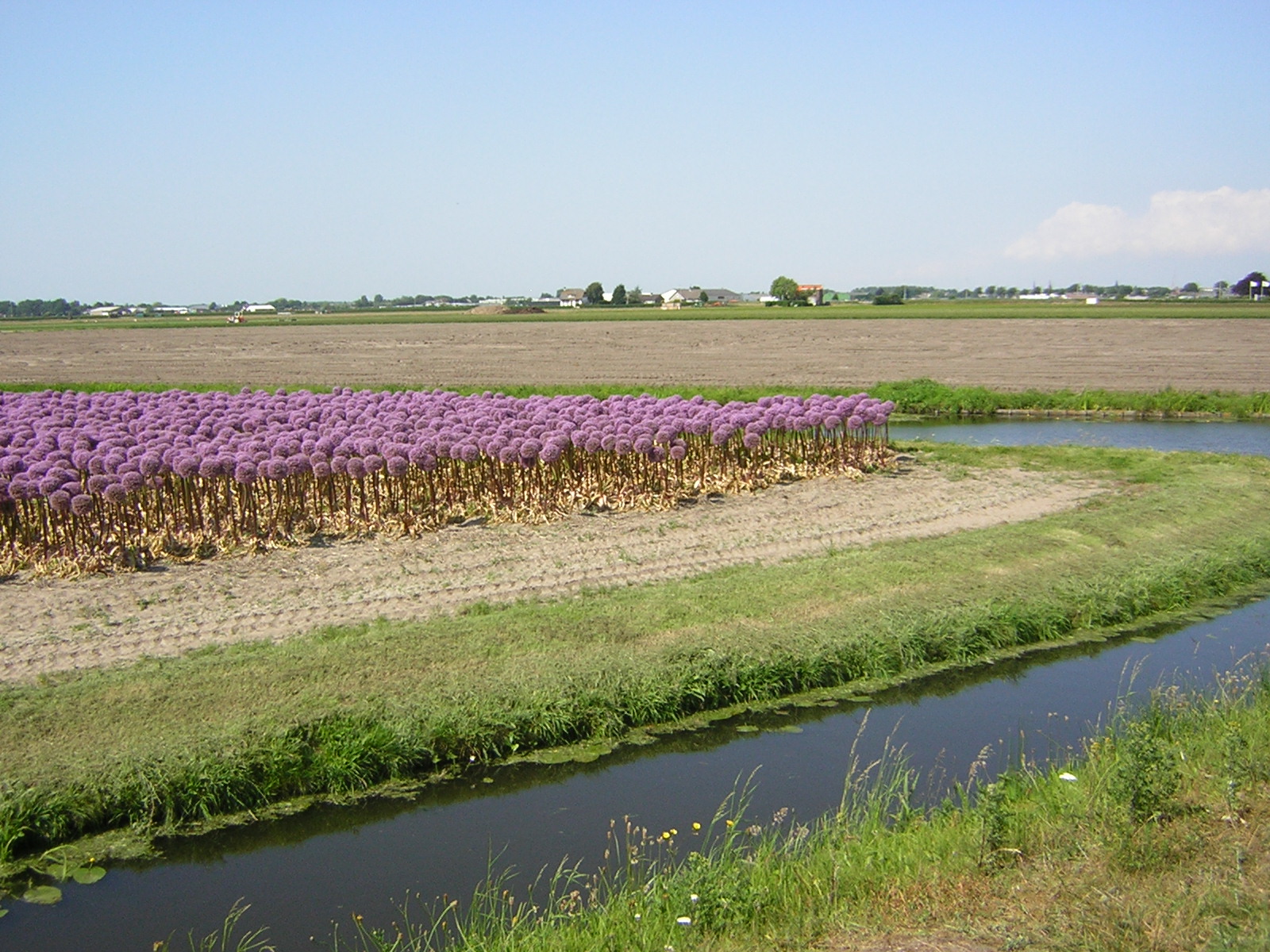 dscn4851
