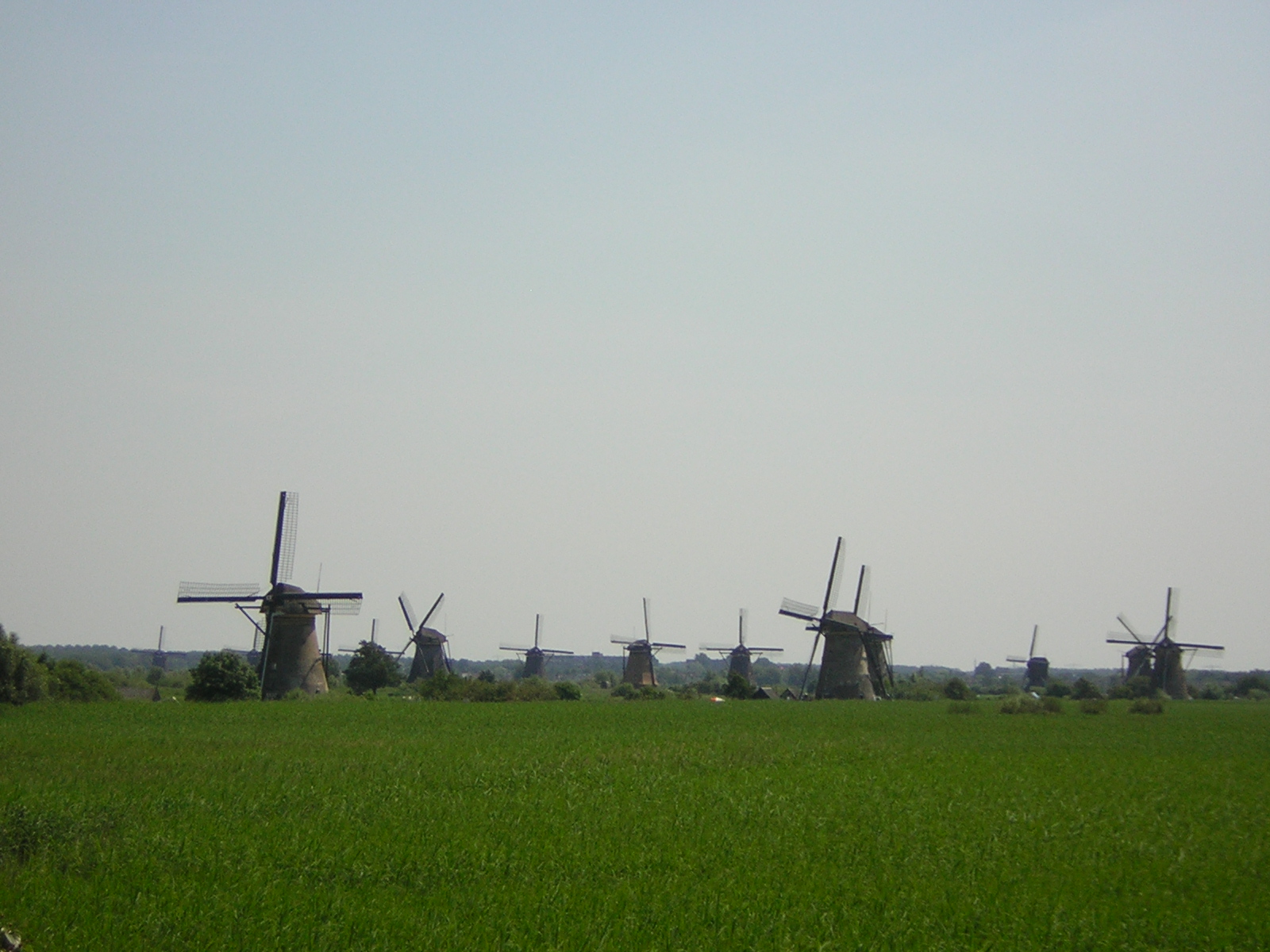 dscn4878