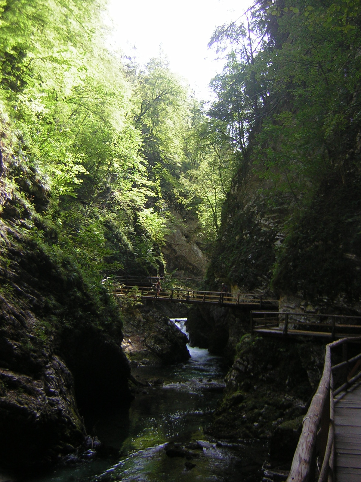 DSCN5128