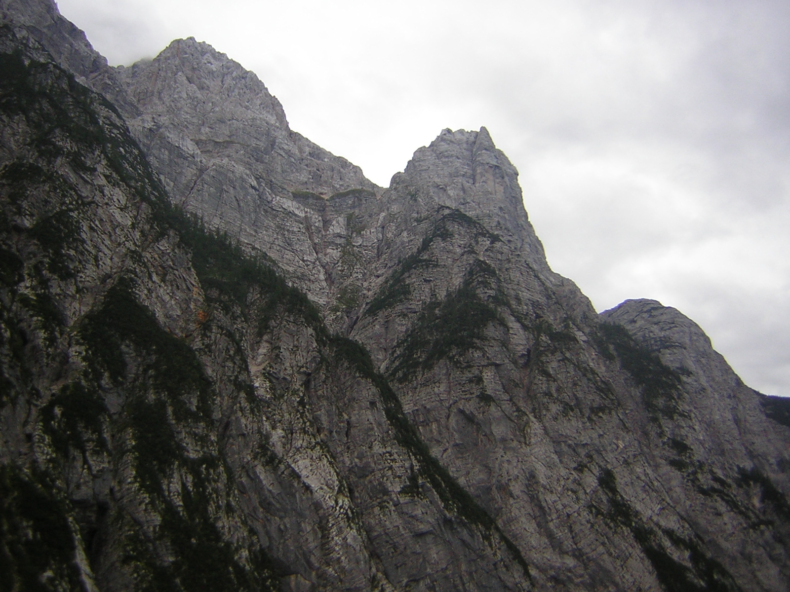 DSCN5135