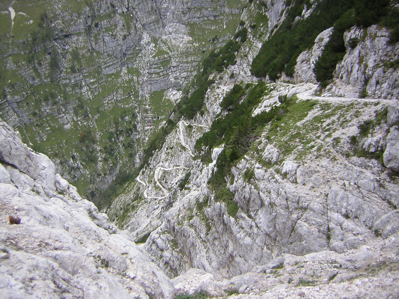 DSCN5138