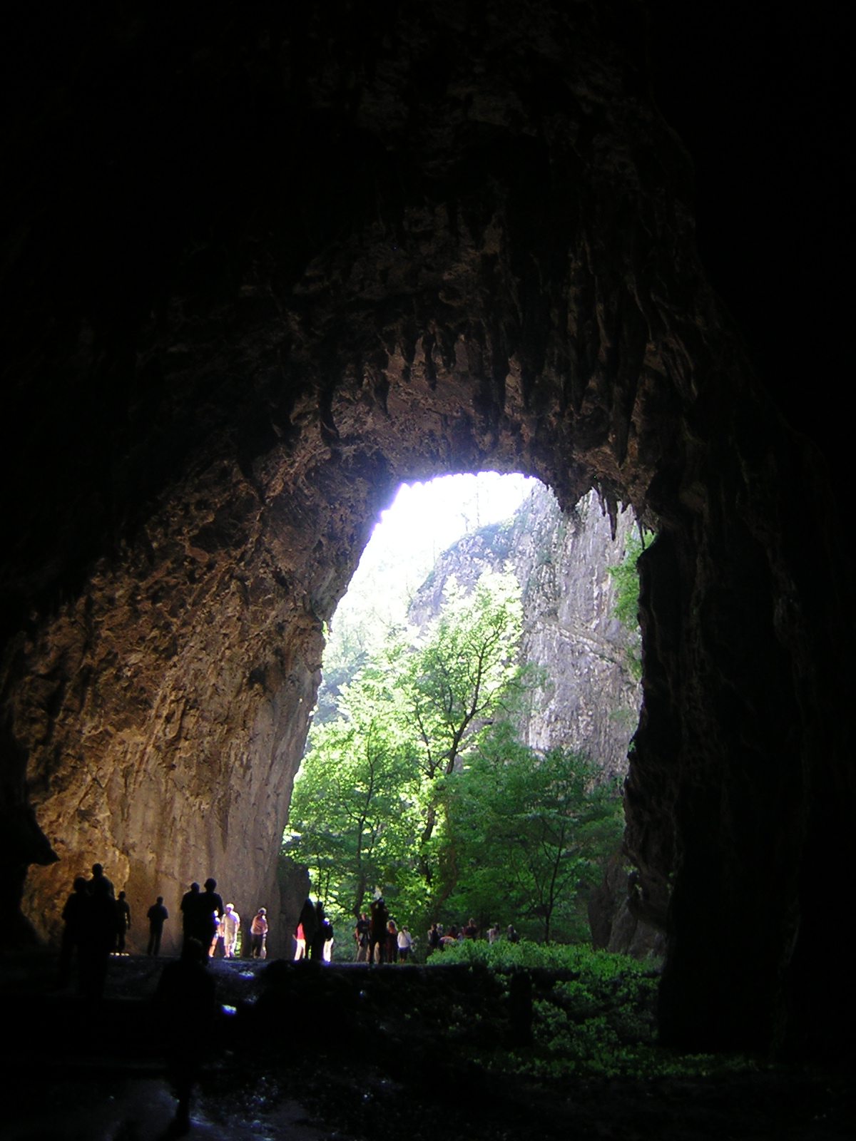 DSCN5222