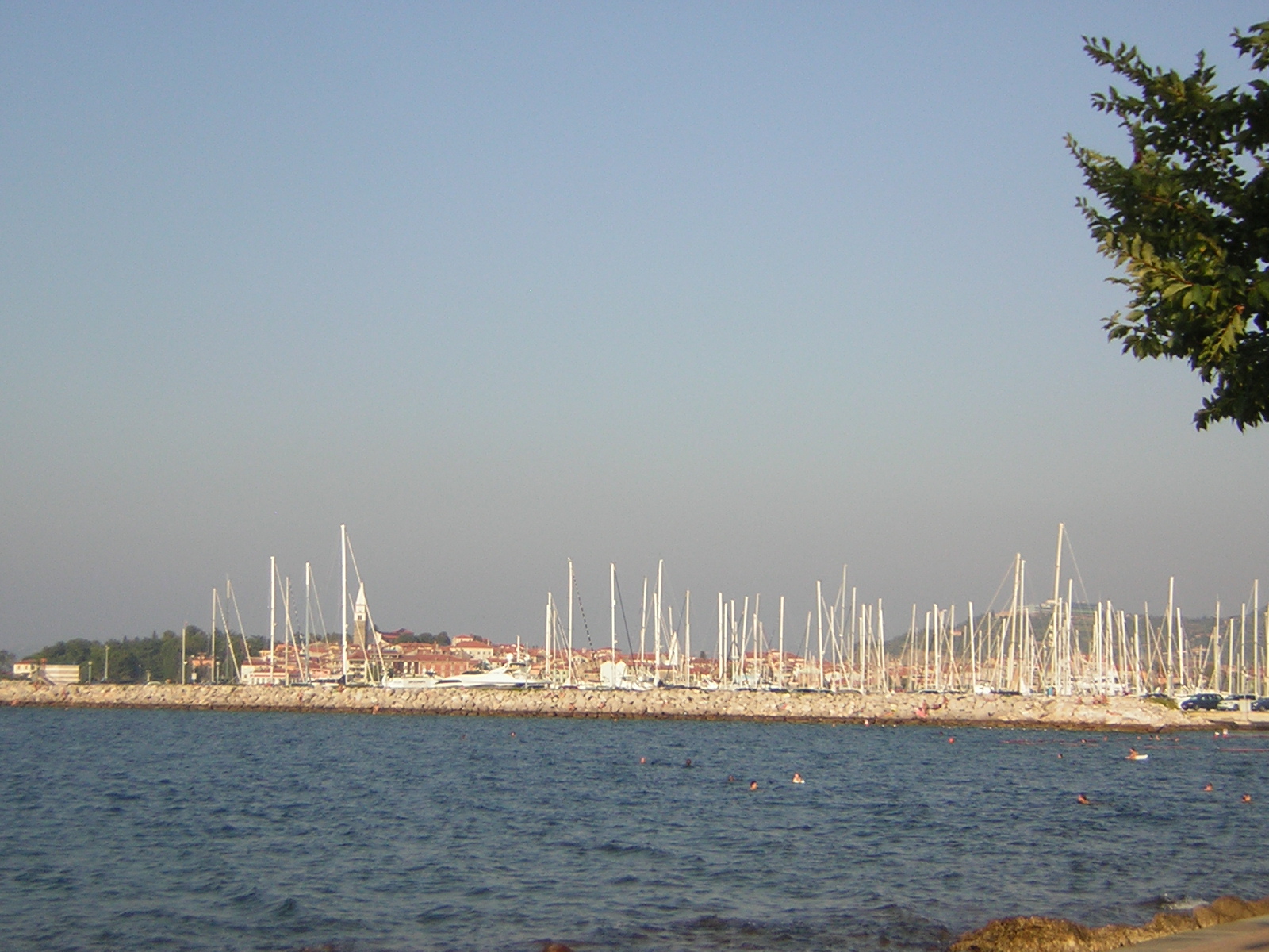 DSCN5228
