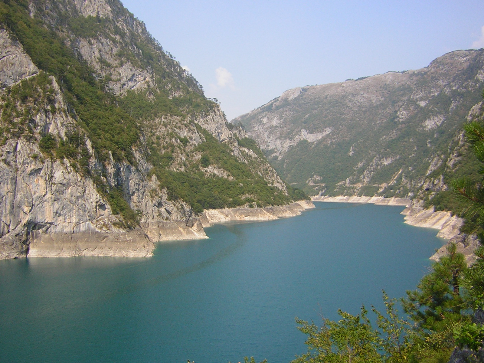 DSCN5260