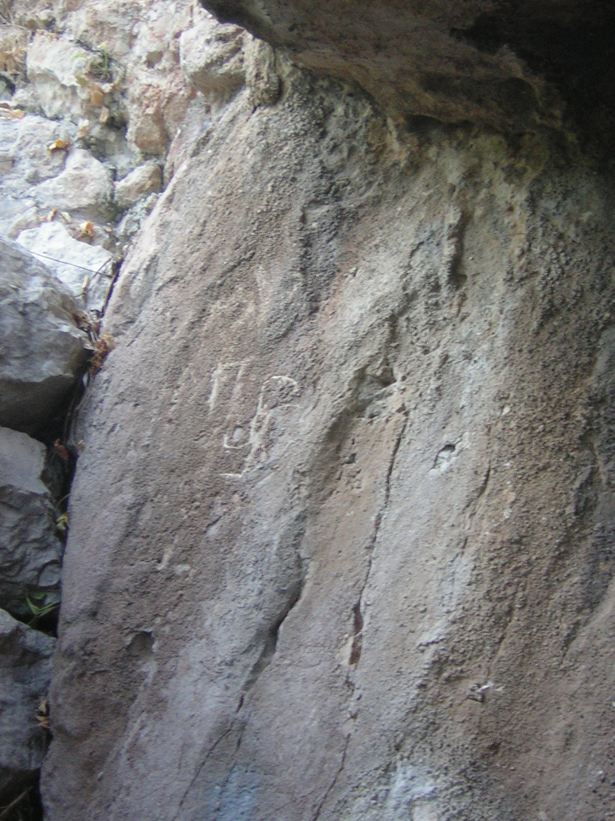 DSCN5356