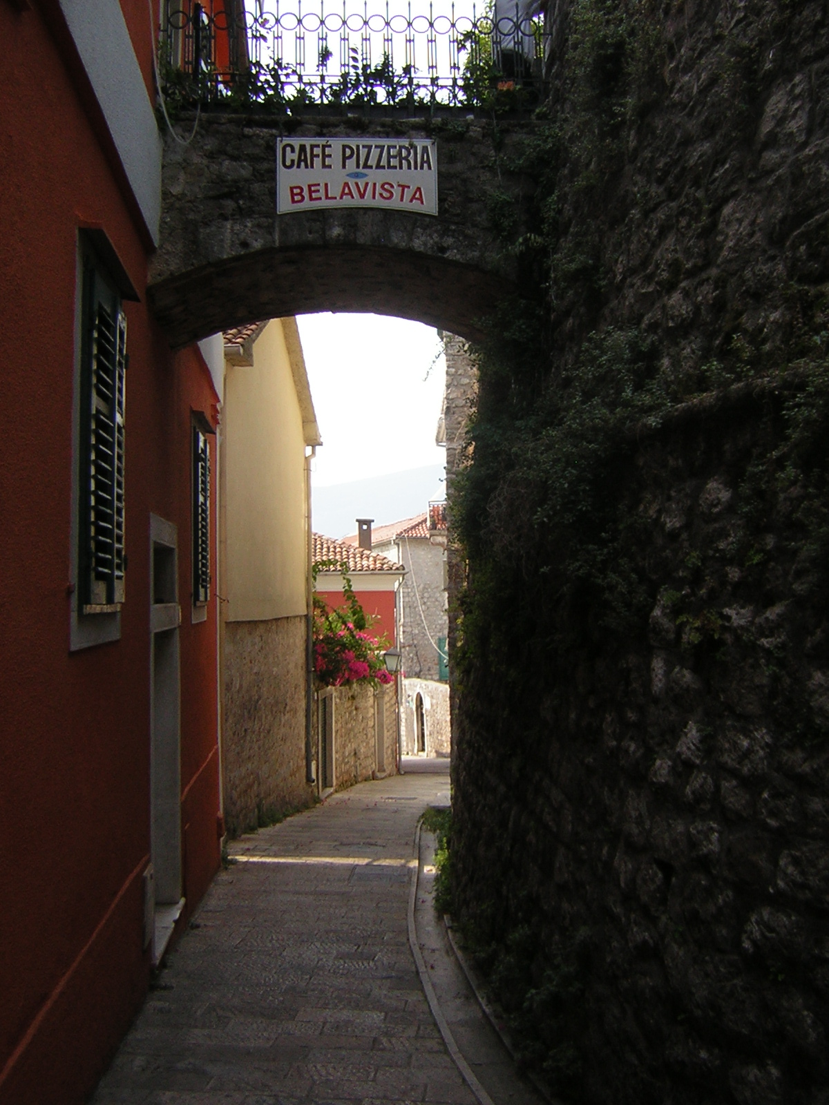 DSCN5361