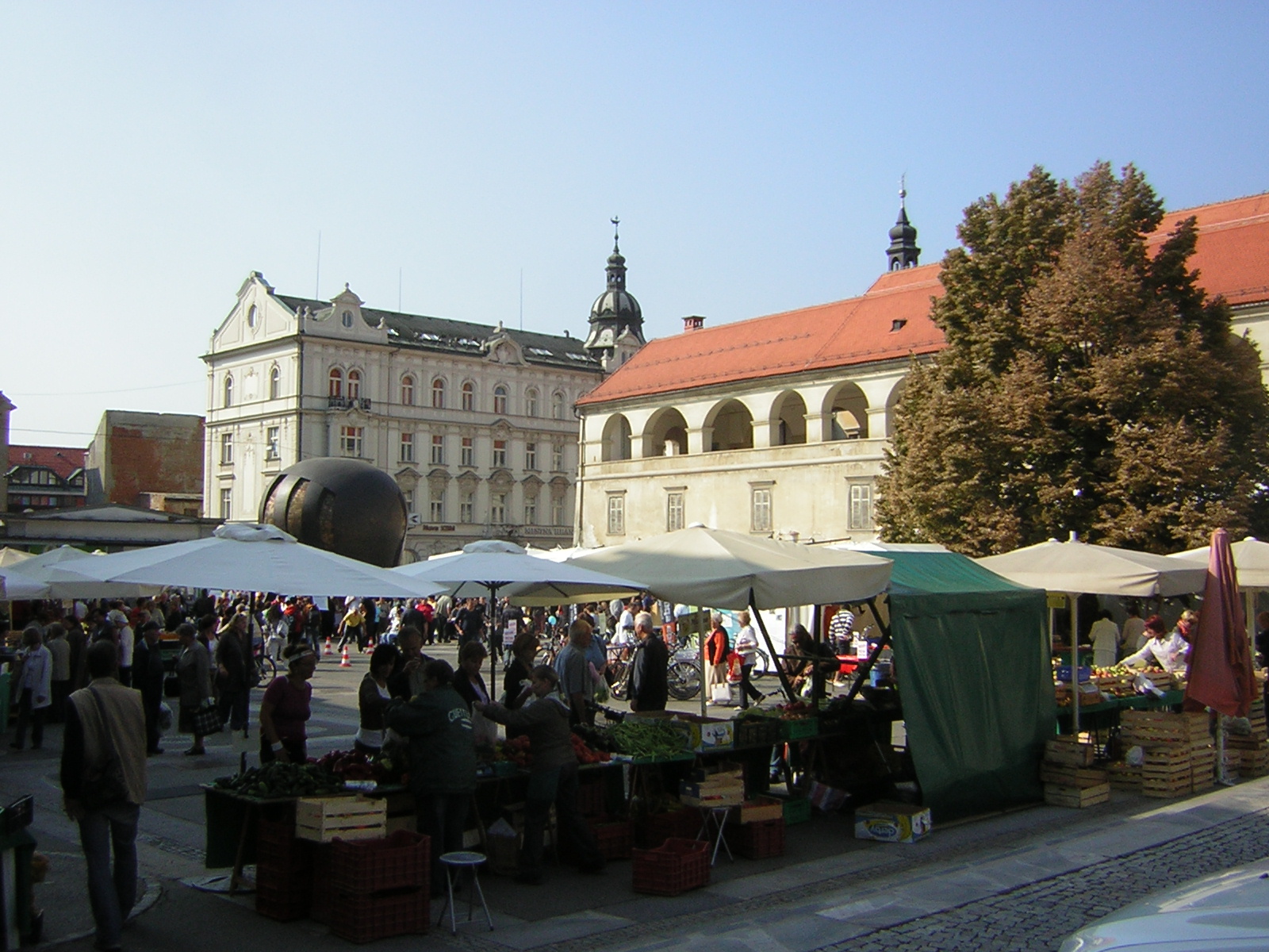 DSCN5407