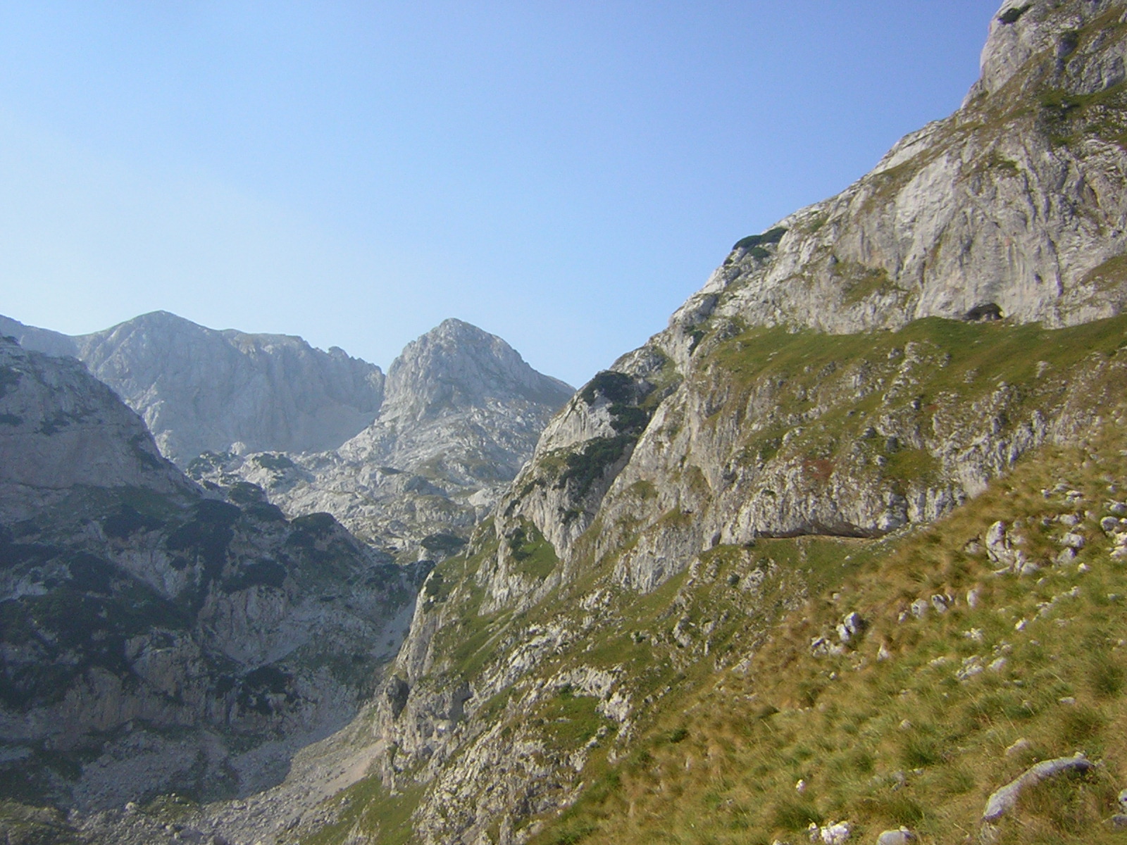 DSCN5279