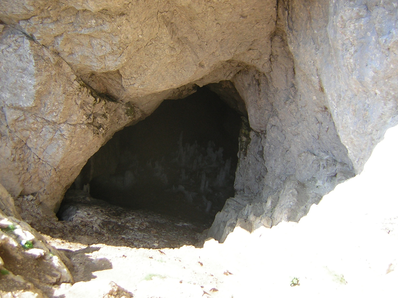 DSCN5281