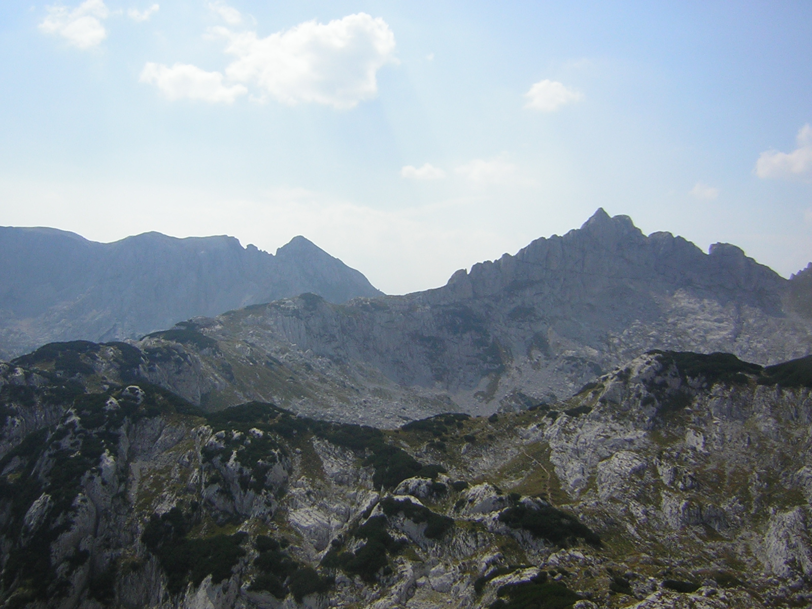 DSCN5288