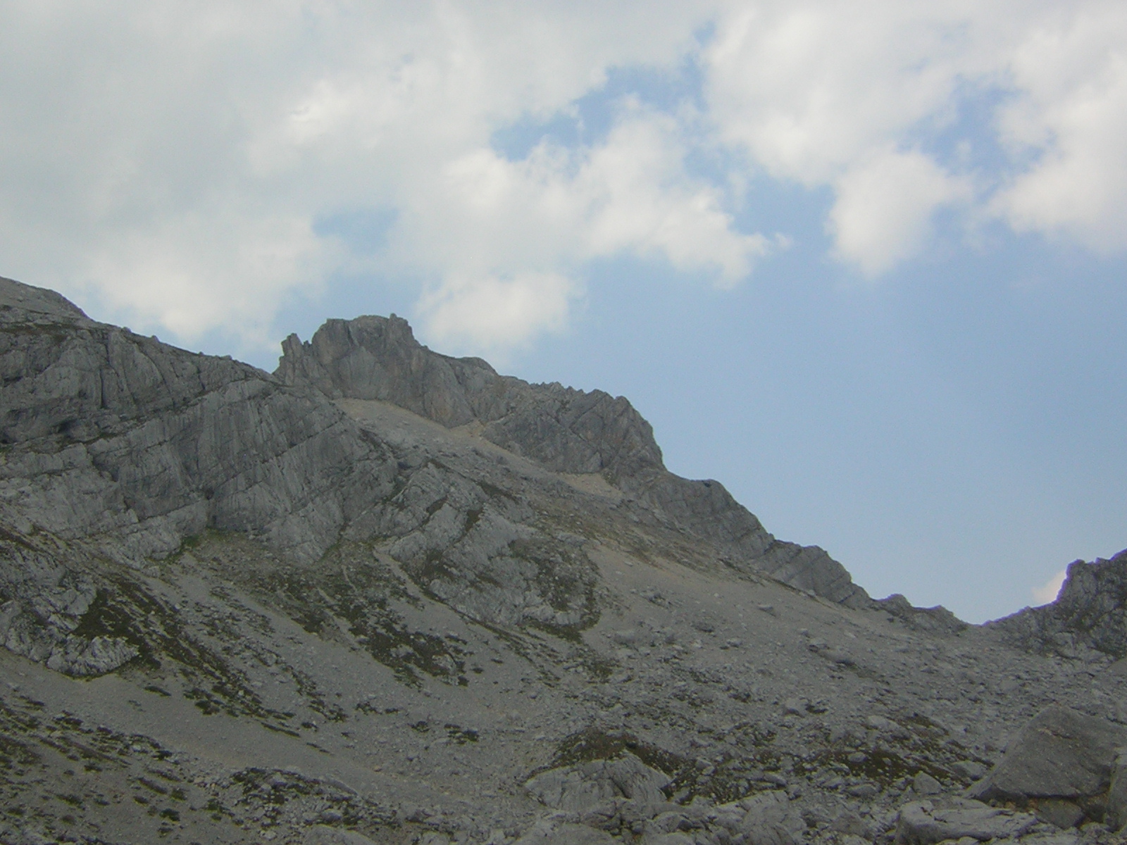 DSCN5291