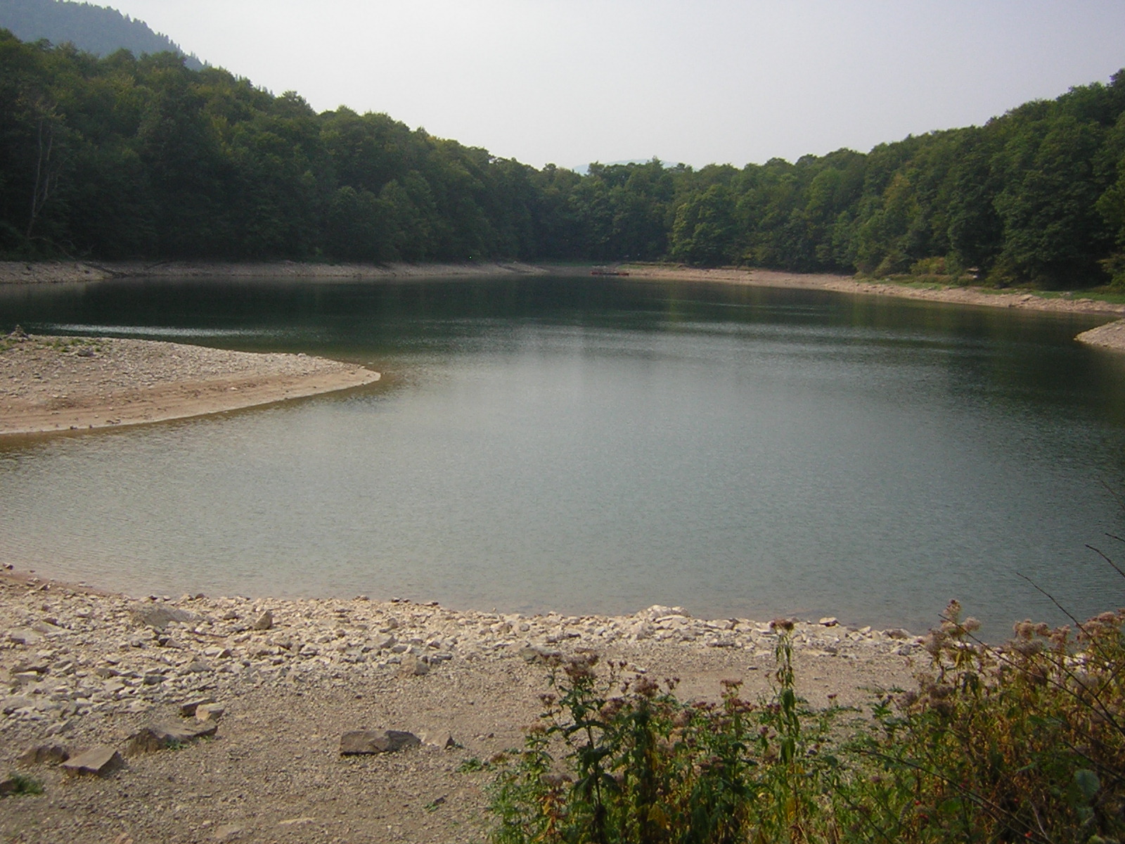DSCN5304