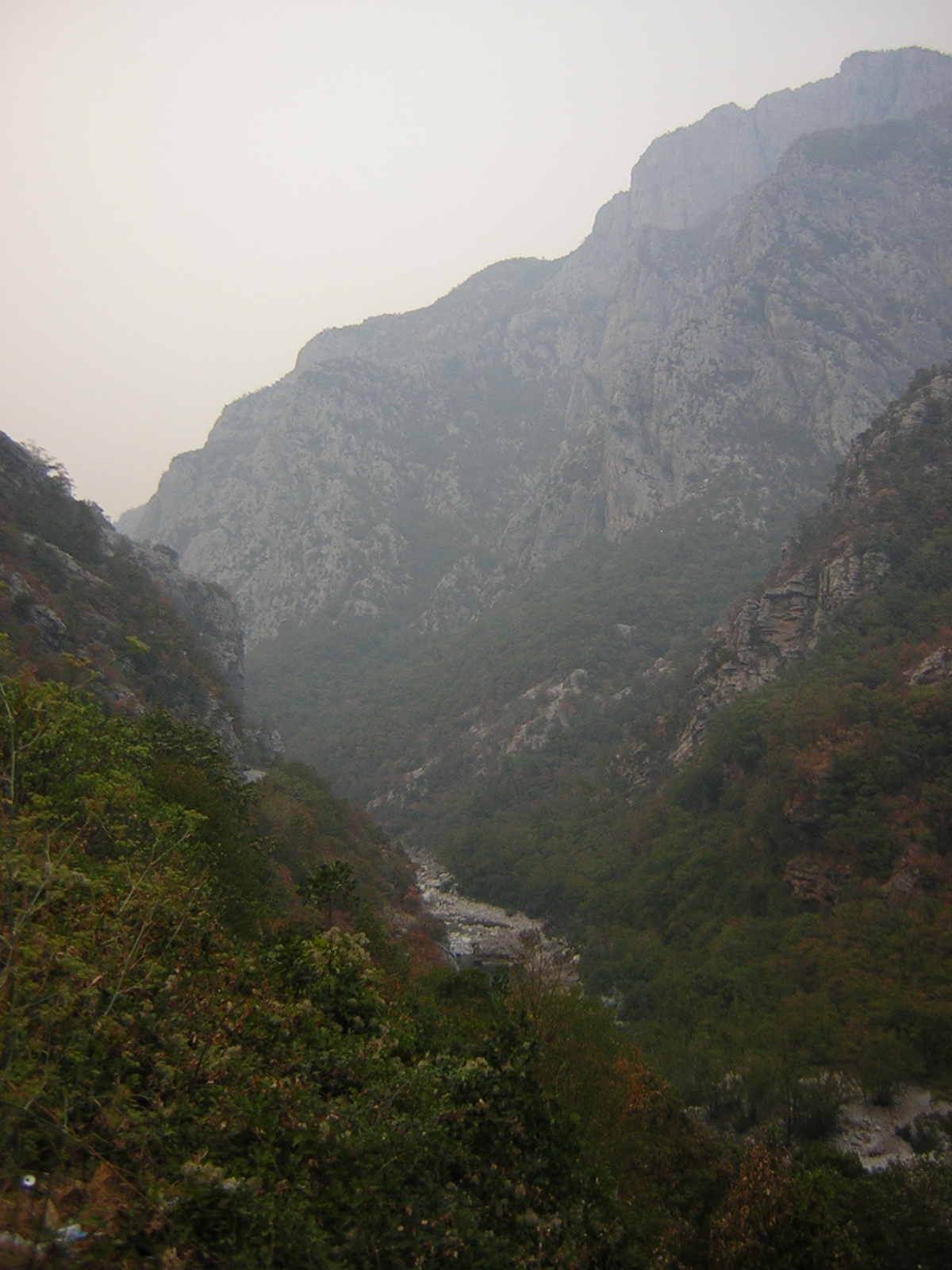 DSCN5309