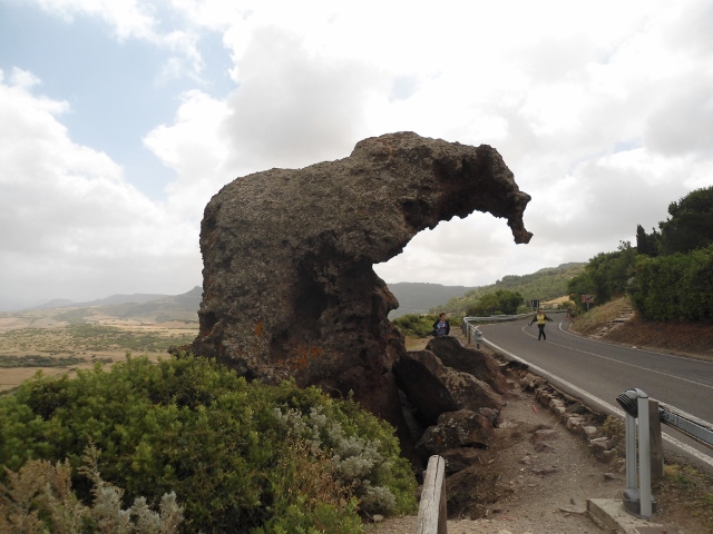 Elefante  roccia