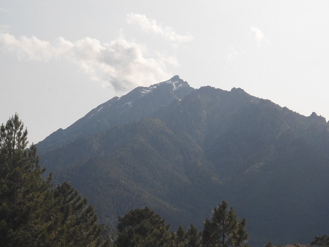 Paglia Orba