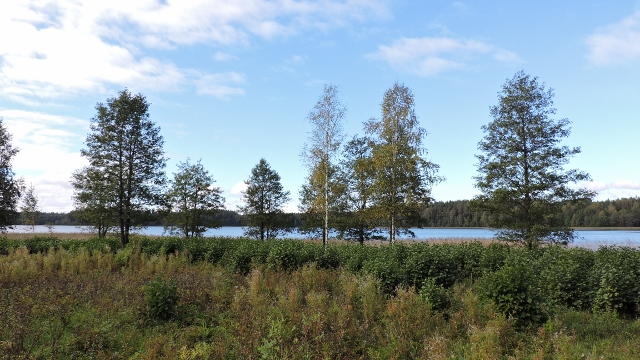 4490 (640x360)