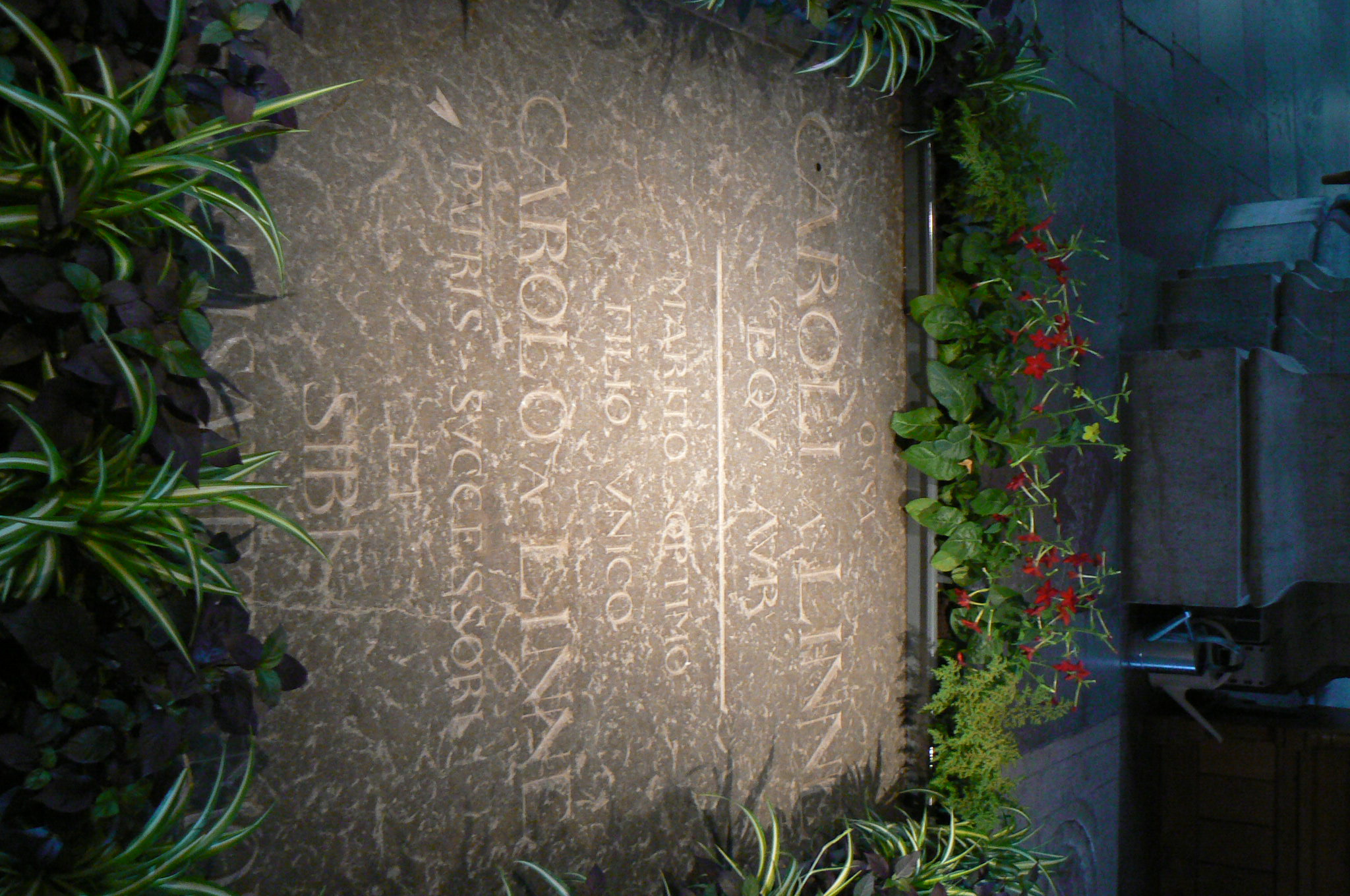 120.Uppsala-pohřben Carl Linné v katedrále.jpg
